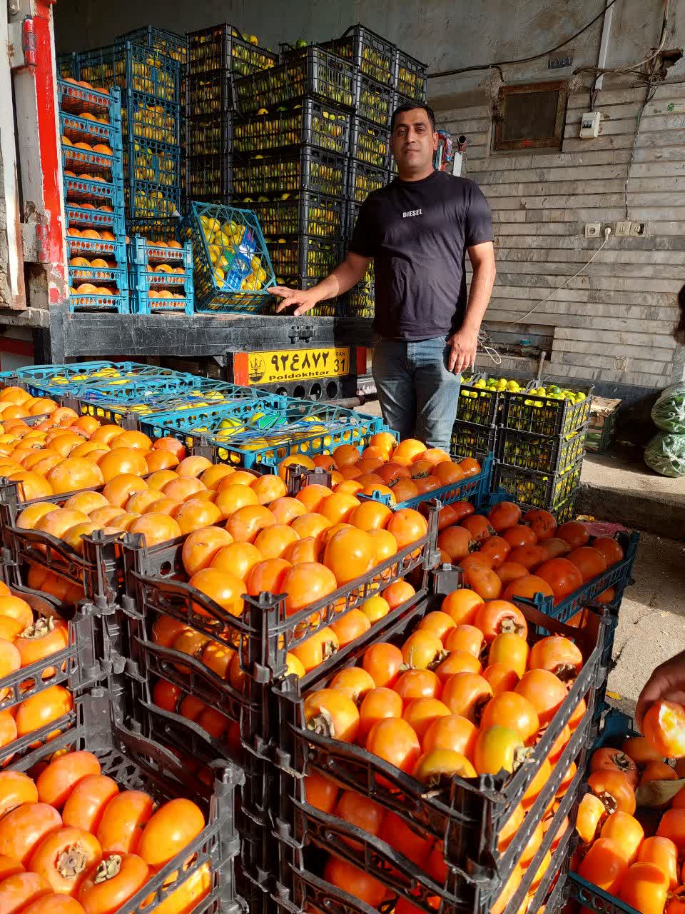 بارفروشی دوبری و پرویزی در {"id":2315,"name":"\u062f\u0632\u0641\u0648\u0644","lat_long_center":"32.3780257,48.4032064","province_id":13,"county_id":null,"sector_id":null,"code":null,"short_code":null,"status":true,"approve":true}